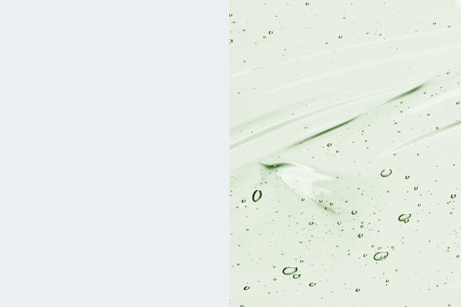 Aloe Vera PLP banner