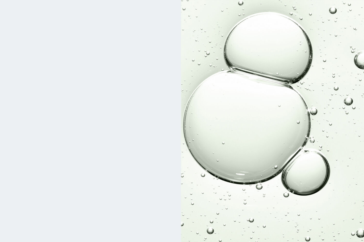 avocado oil PLP banner