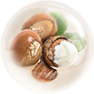 Shea Butter.png