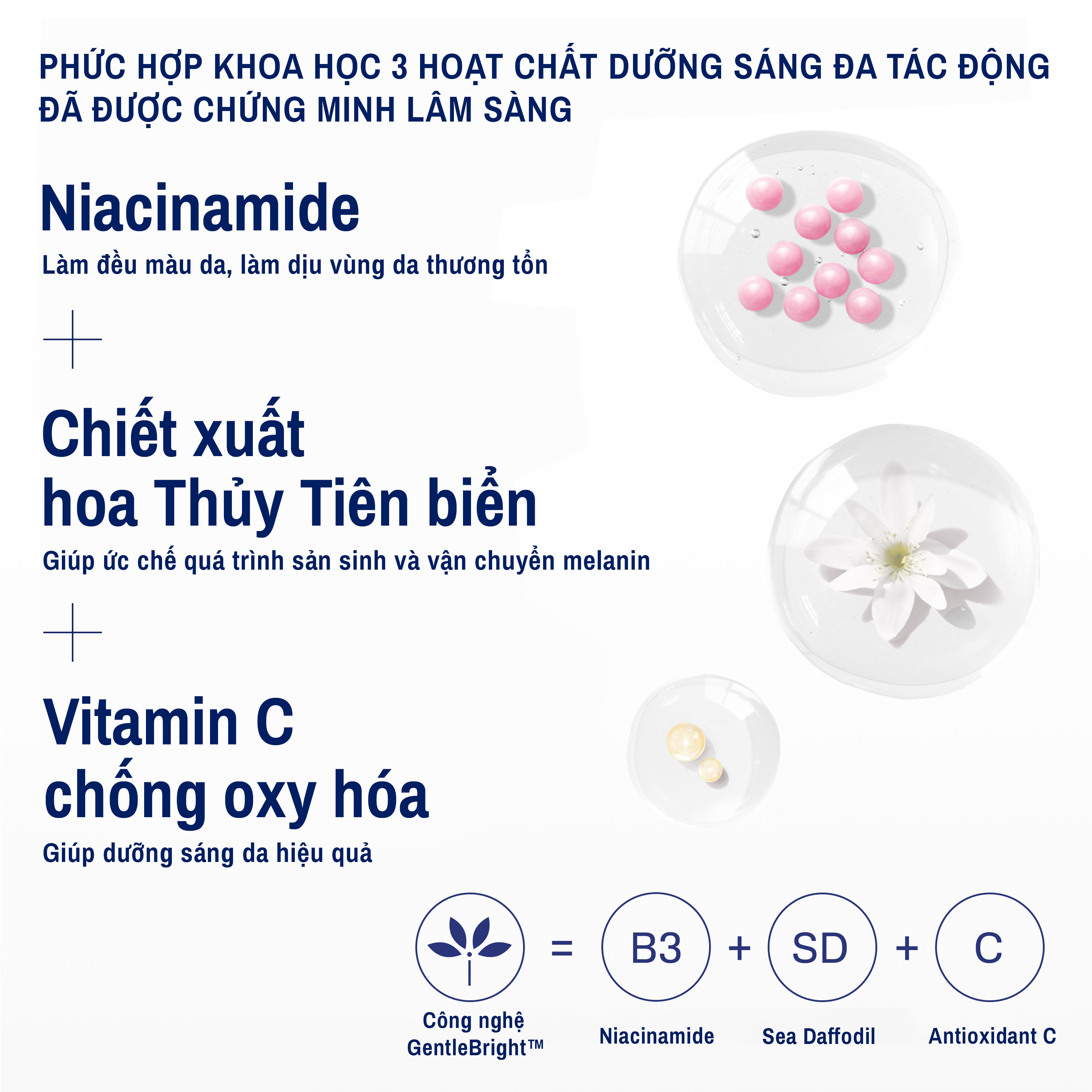 Mặt nạ dưỡng sáng và cấp ẩm Cetaphil Bright Healthy Radiance Instant Radiance Mask 
                    Ingredients